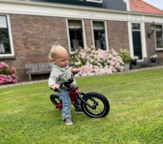 Laufrad / 12 Zoll Kinderrad , mit wachsender Möglichkeit in einem Rad, grau